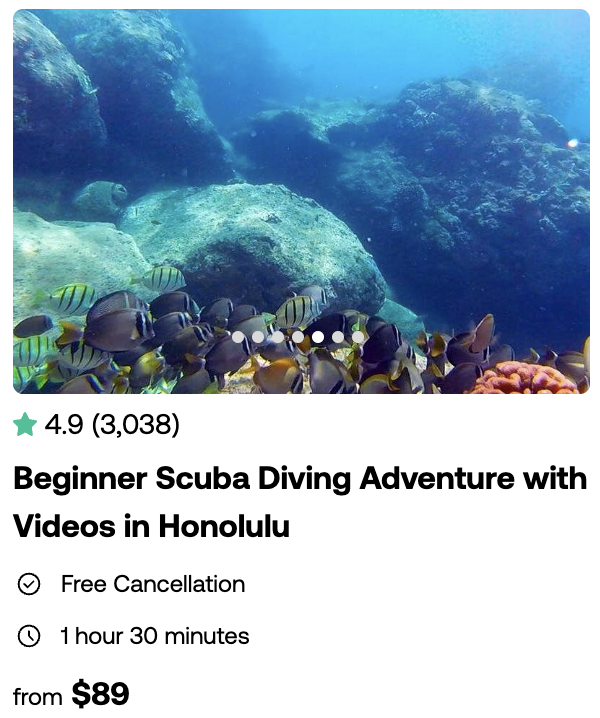Beginner Scuba Diving Adventure