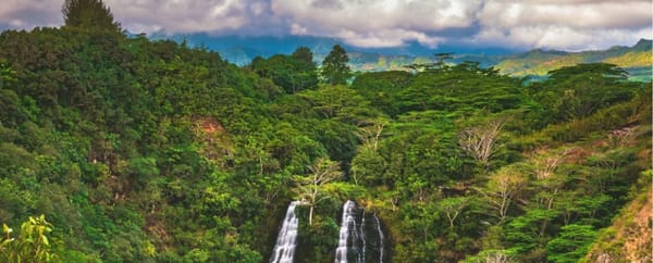 Hawaii Just Introduced a Tourist Climate Fee